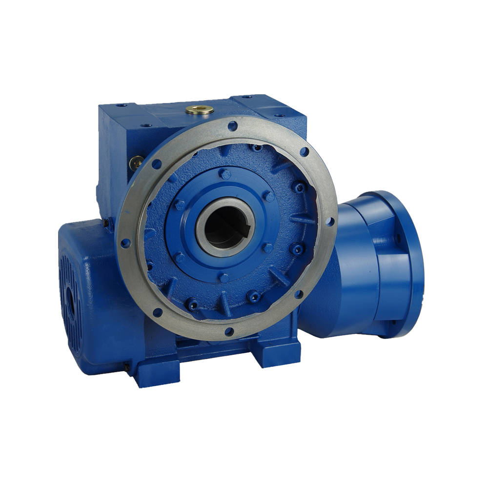 Industrial Machinery Double Worm Gear Enveloping Gearbox
